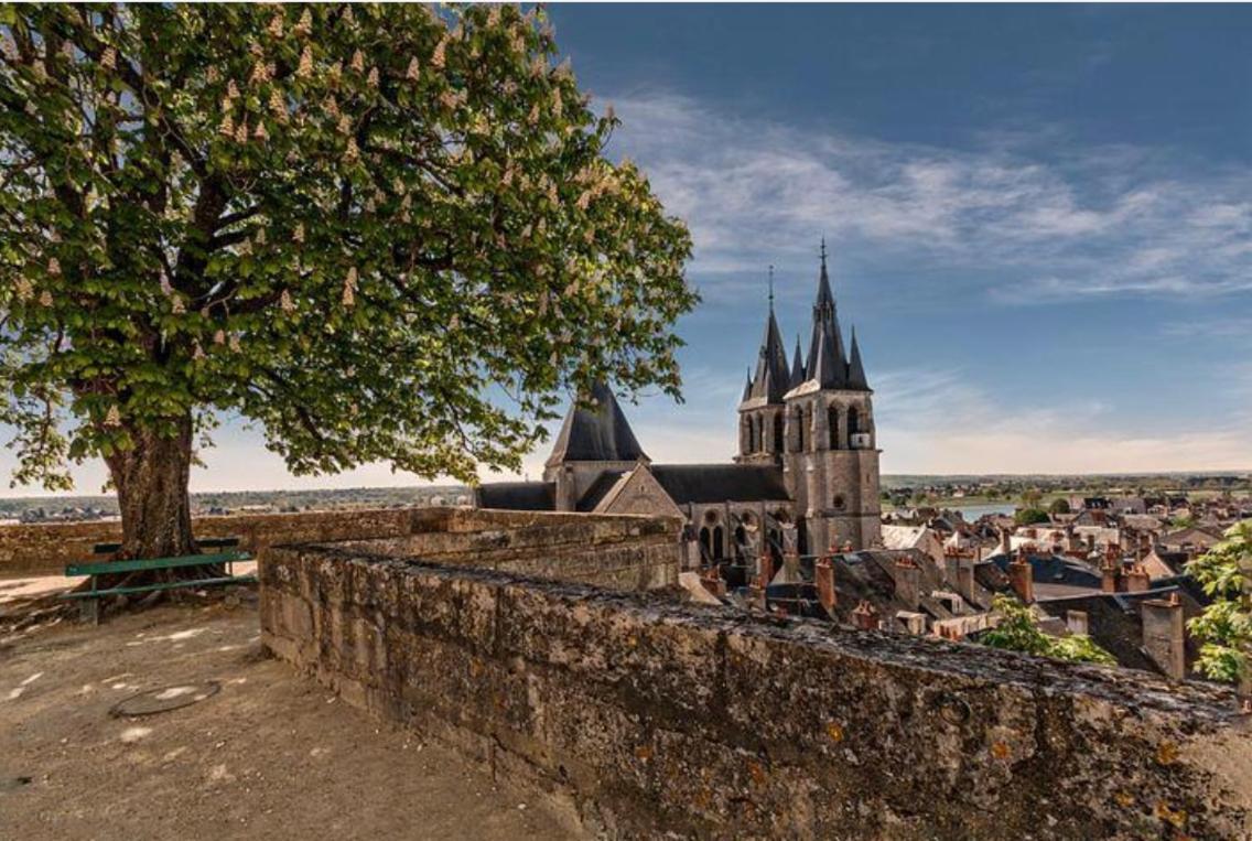 Appartement Coeur De Blois /Heart Of The City ภายนอก รูปภาพ